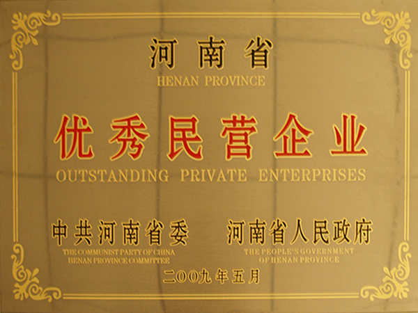 2009年河南省优越民营企业
