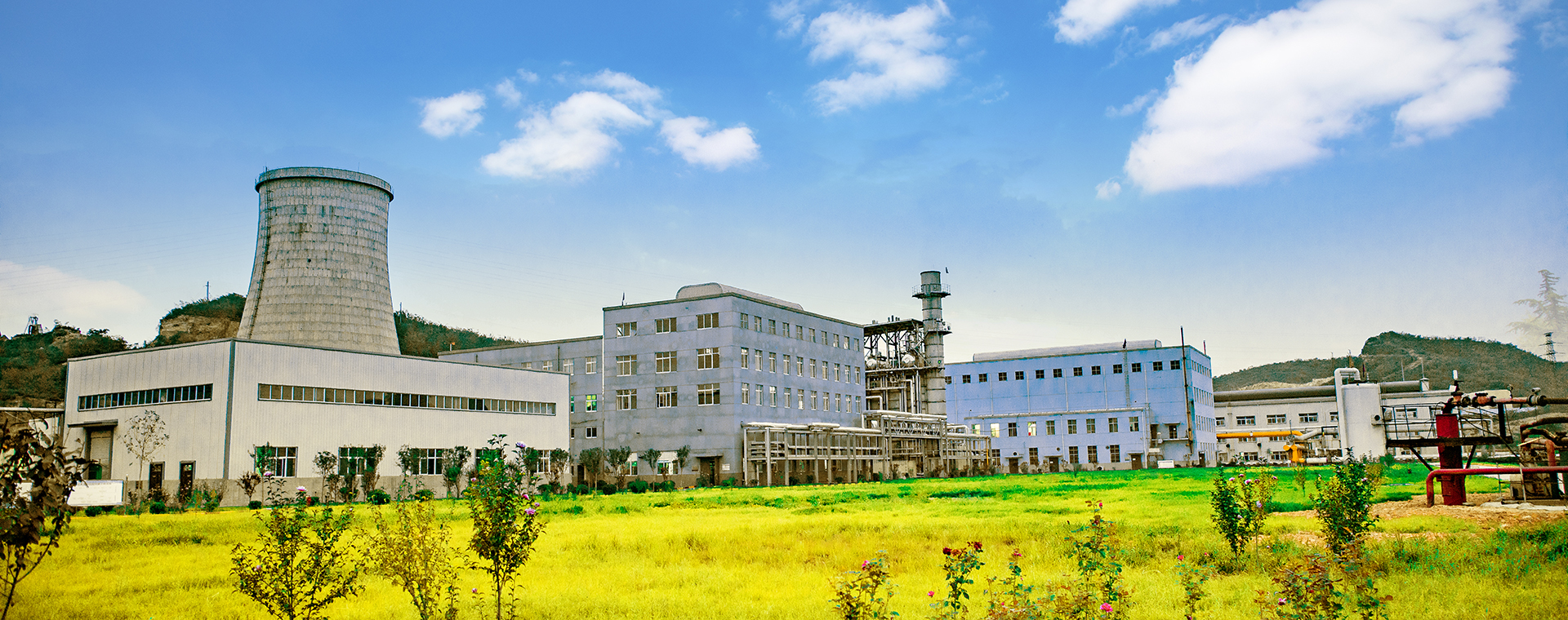 俏丽J9集团国际